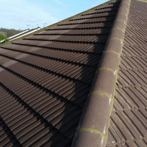 Recent roof project